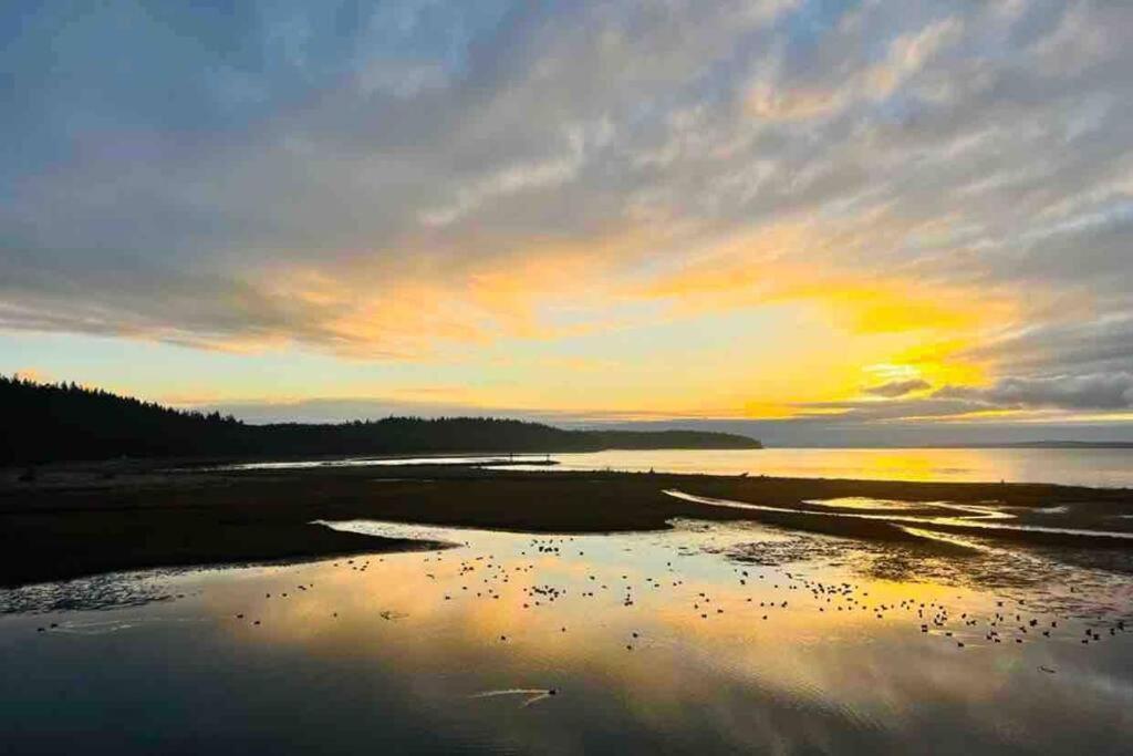 فيلا Oasis By The Sea Port Hadlock-Irondale المظهر الخارجي الصورة