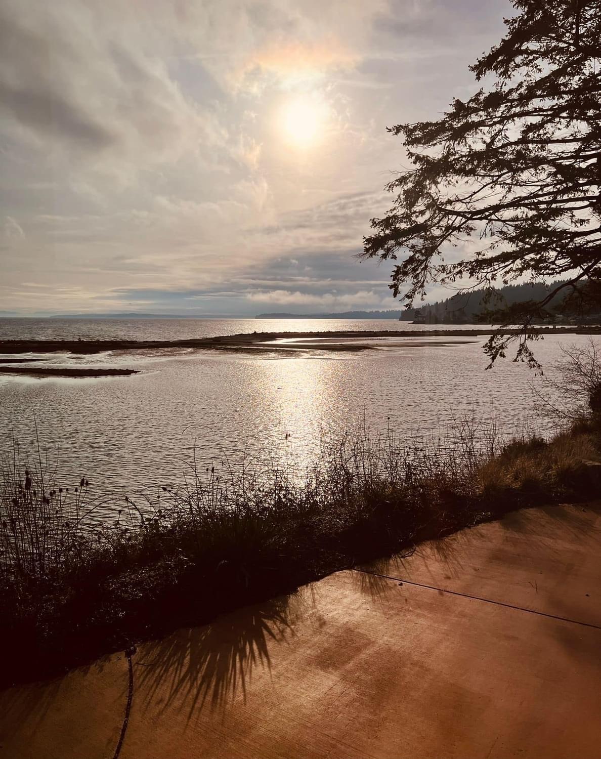فيلا Oasis By The Sea Port Hadlock-Irondale المظهر الخارجي الصورة